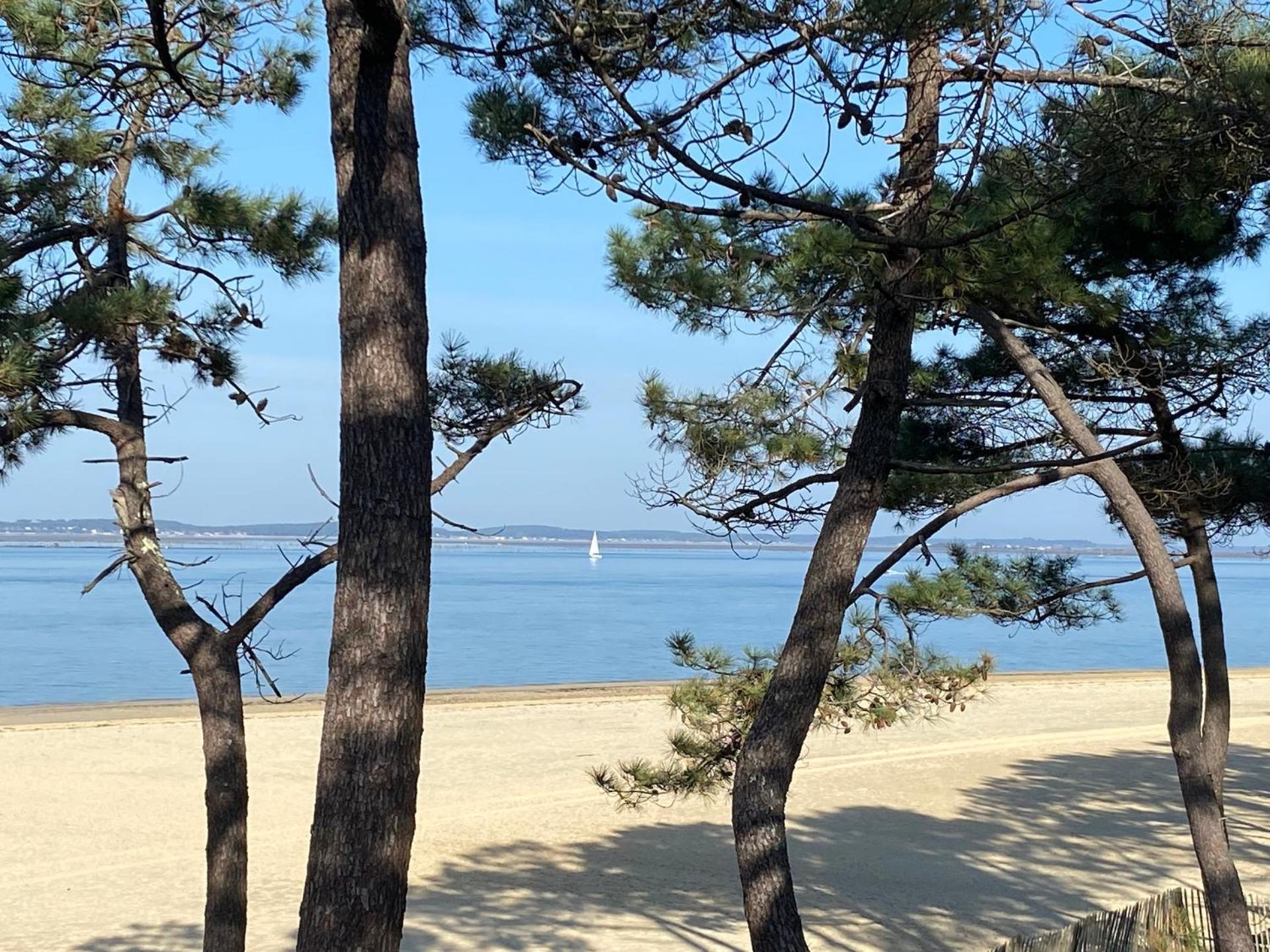 Hotel Particulier- Les Cottages Du Bassin D'Arcachon -Petit-Dejeuner Sur Demande Gujan-Mestras Exterior foto