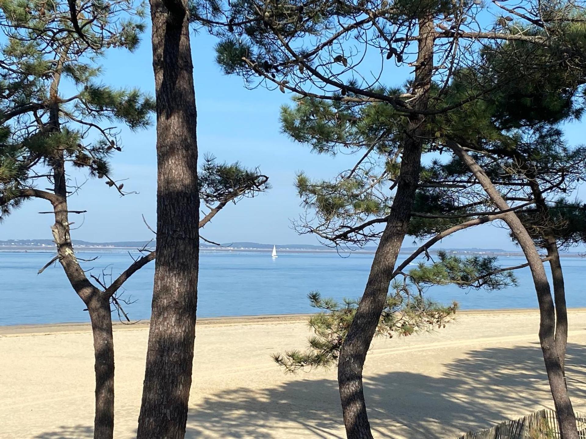Charme & Confort- Les Cottages Du Bassin D'Arcachon- Petit-Dejeuner Sur Demande - Nuitee, Court Sejour, Semaine Gujan-Mestras Exterior foto