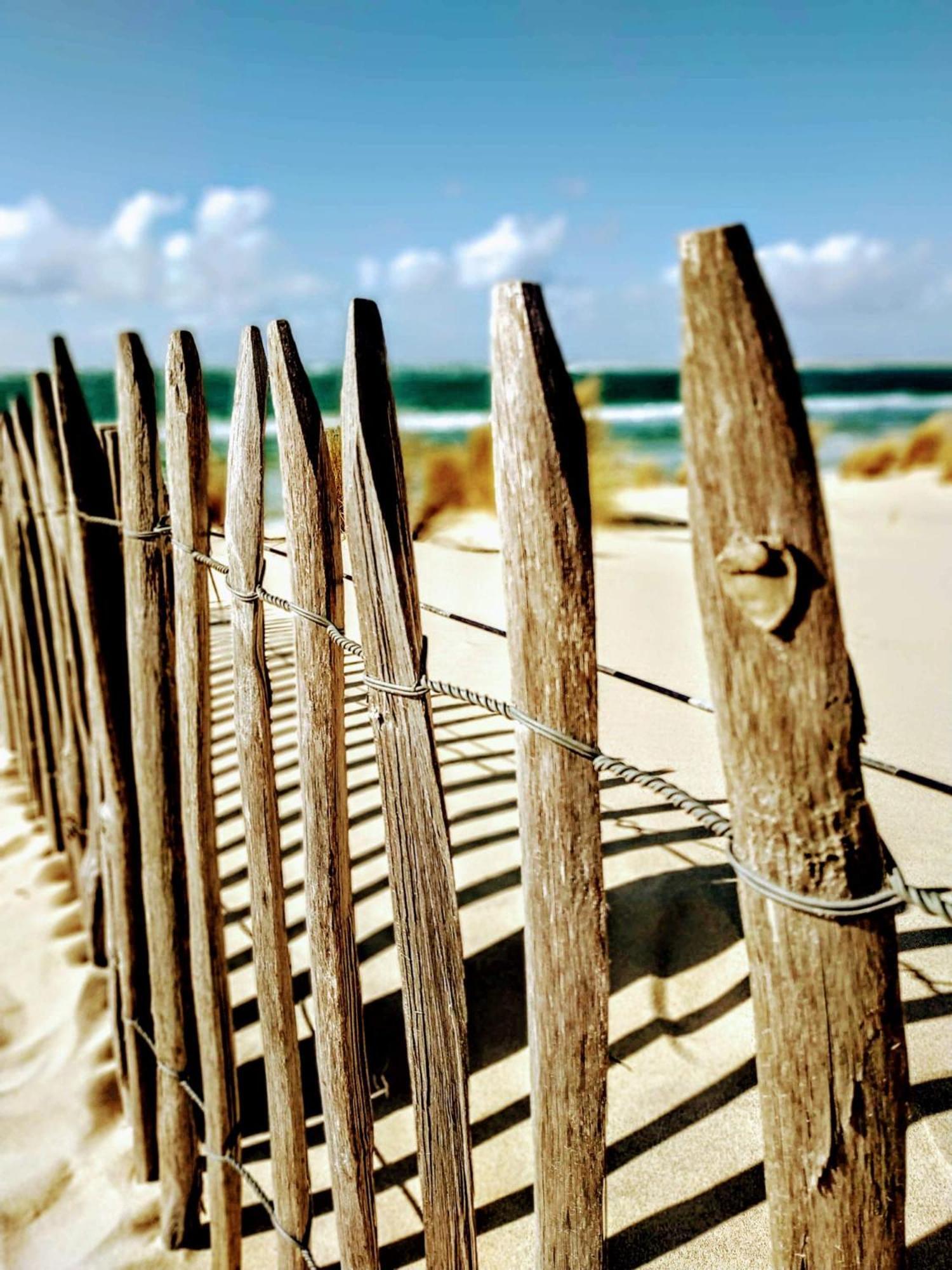 Hotel Particulier- Les Cottages Du Bassin D'Arcachon -Petit-Dejeuner Sur Demande Gujan-Mestras Exterior foto