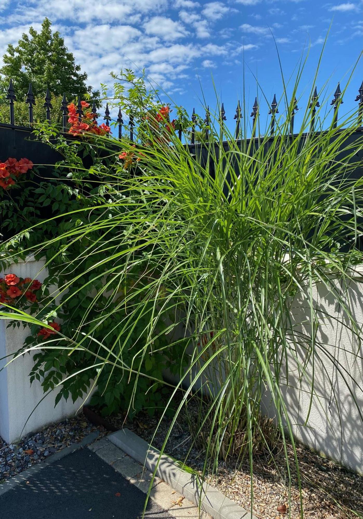 Charme & Confort- Les Cottages Du Bassin D'Arcachon- Petit-Dejeuner Sur Demande - Nuitee, Court Sejour, Semaine Gujan-Mestras Exterior foto
